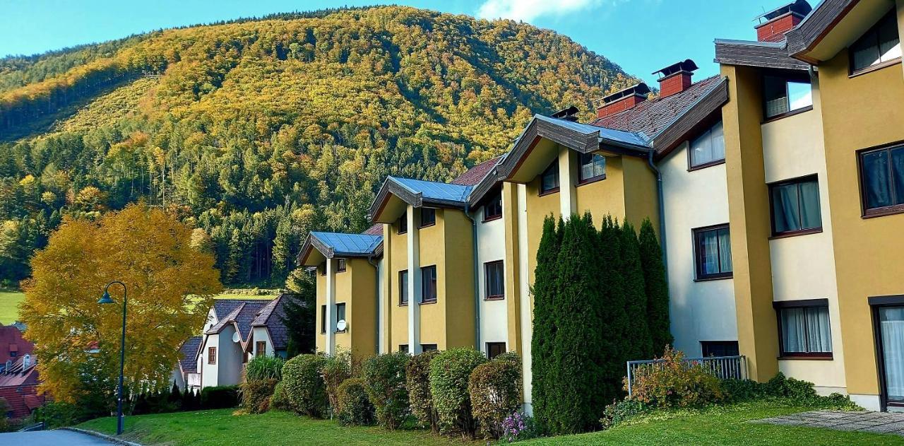 Ferienwohnung Bergspass Gaming Екстер'єр фото